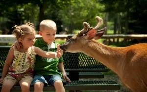 Куди поїхати з дітьми біля Києва: найкращі місця для сімейного відпочинку